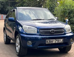 Toyota RAV4 2004 Blue