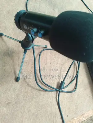 Condenser Microphone