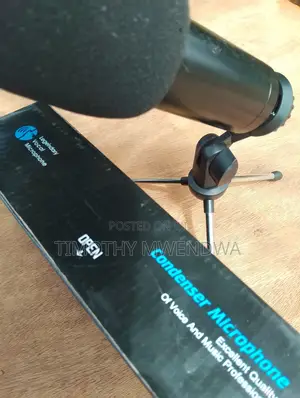 Condenser Microphone