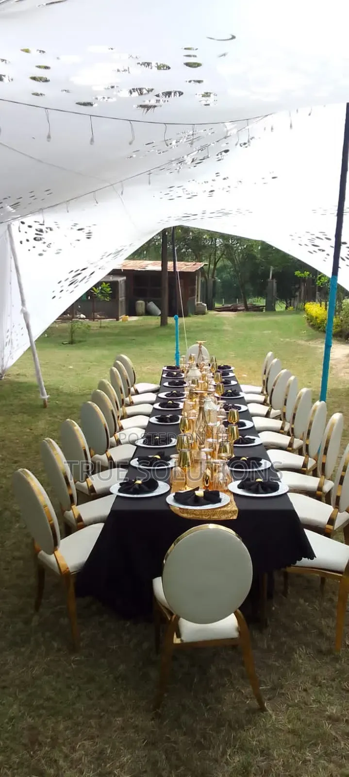 Cheese Tent for Sale and Hire