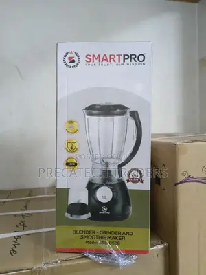 Smart Pro 2-in-1 Blender Grinder 500w Smoothie Maker