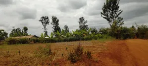 Prime 50×100 Plot for Sale in Kirinyaga Karoti Karugiro