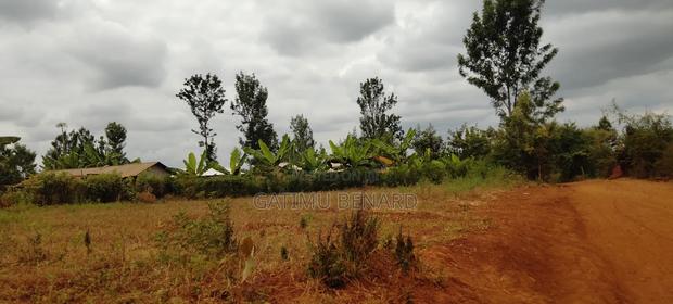 Prime 50×100 Plot for Sale in Kirinyaga Karoti Karugiro