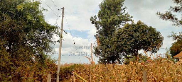 Prime 50×100 Plot for Sale in Kirinyaga Karoti Karugiro - thumbnail 3