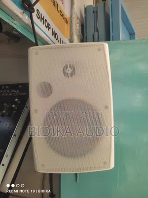 Indoor/Outdoor Wall-Mount Pa (Public Address) Box Speaker