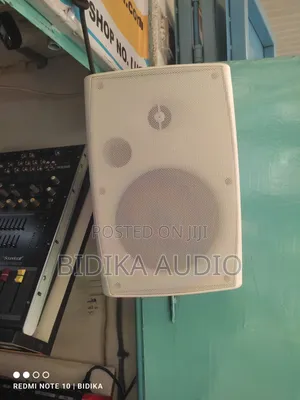 Indoor/Outdoor Wall-Mount Pa (Public Address) Box Speaker