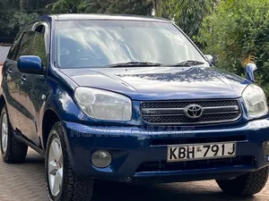 Toyota RAV4 2004 Blue