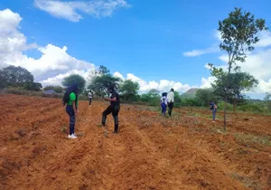Ready Title,Matuu Kaewa Plots for Sale at