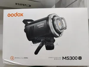 Godox Ms300-v Studio Flash Monolight