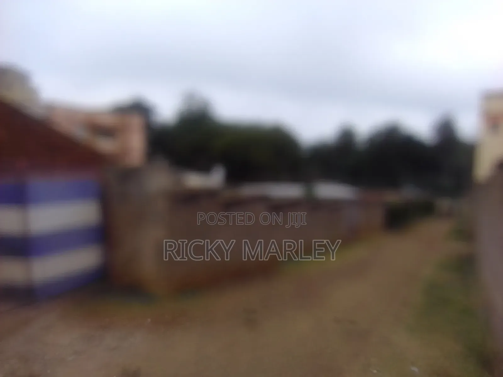 Two Bedroom House Opposite Outspan Hospital, Hotel and Nyeri Golf Club