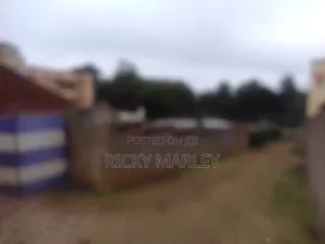 Two Bedroom House Opposite Outspan Hospital, Hotel and Nyeri Golf Club