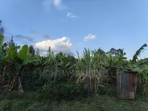 Residential Quarter Acre Plot for Sale in Ngong, Olkeri