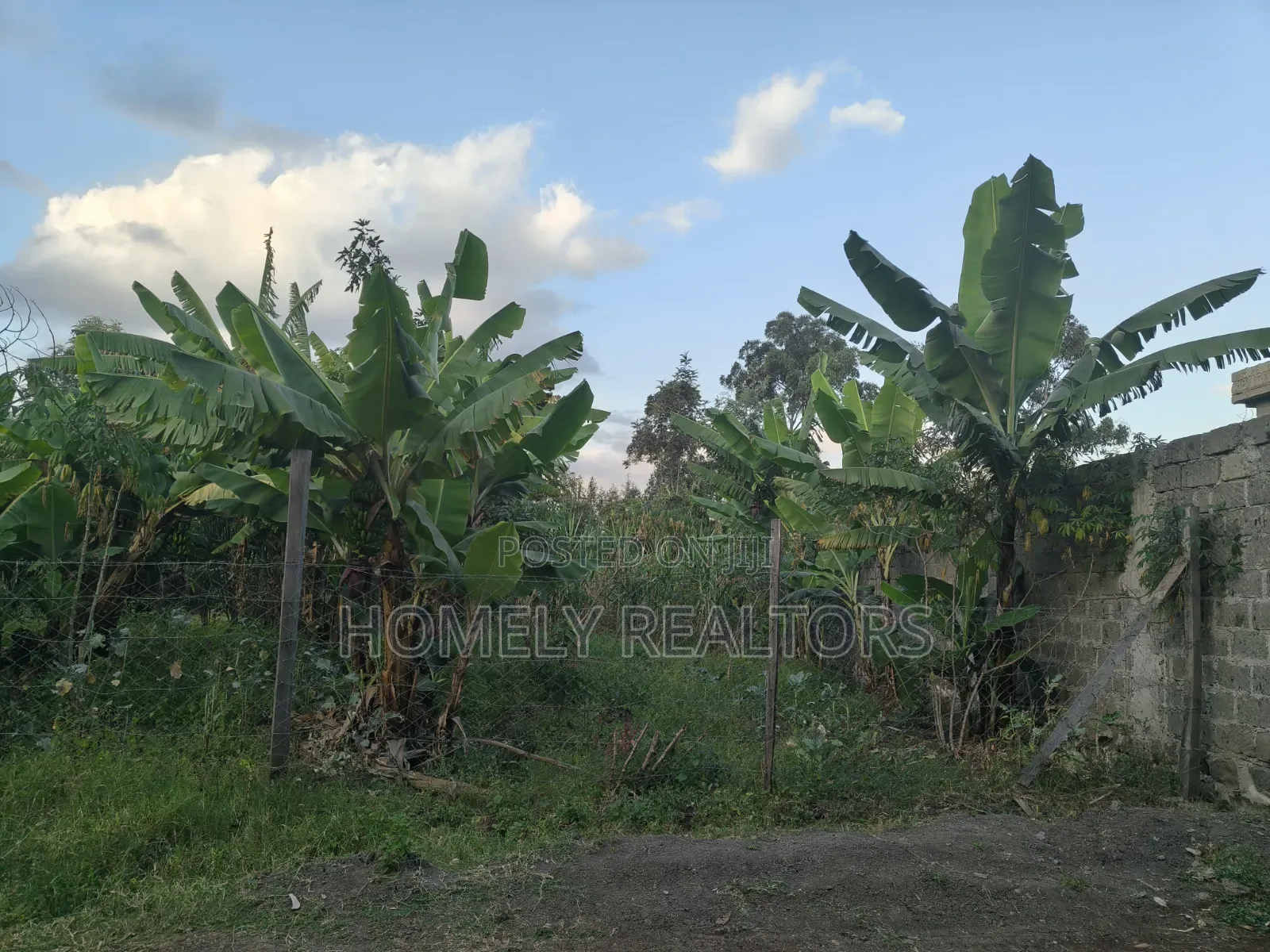 Residential Quarter Acre Plot for Sale in Ngong, Olkeri