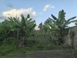 Residential Quarter Acre Plot for Sale in Ngong, Olkeri