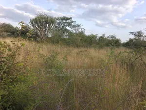 35 Acres for Sale in Mogotio