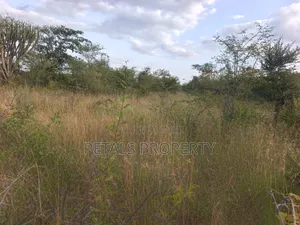 35 Acres for Sale in Mogotio