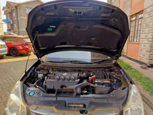 Nissan Sylphy 2008 Gray 