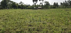 100 by 100 Webuye Joyland