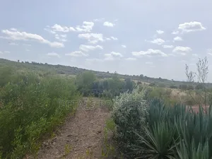 10 Acres for Sale in Kipkitur, Mogotio