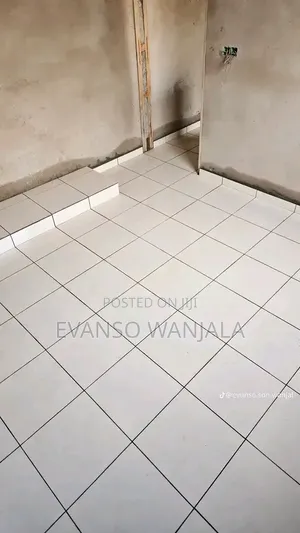 Professional Tiler