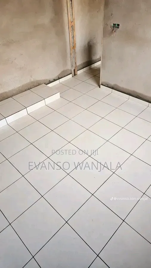 Professional Tiler