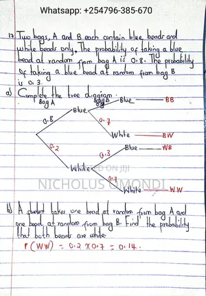 Mathematics and Physics Online Tuition