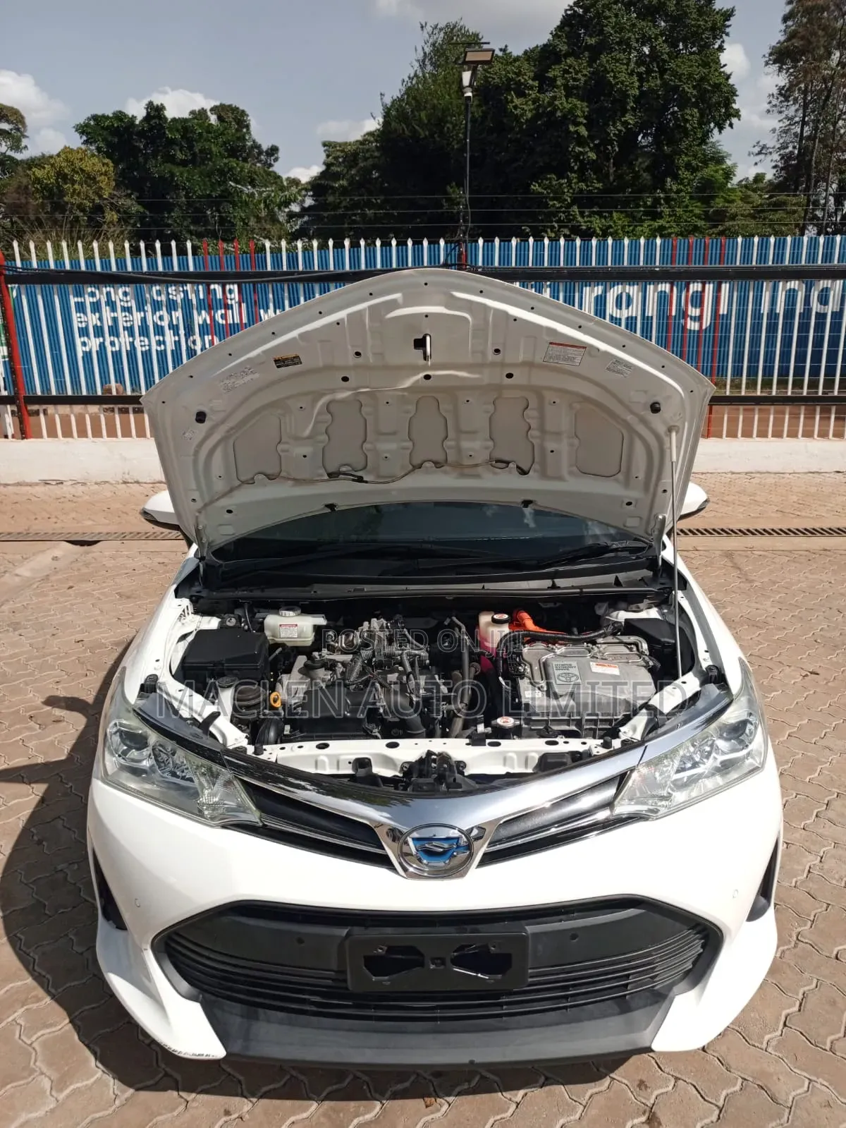 Toyota Corolla Fielder 2020 White