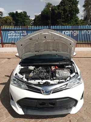 Toyota Corolla Fielder 2020 White