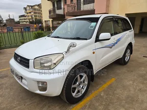 Toyota RAV4 2002 White