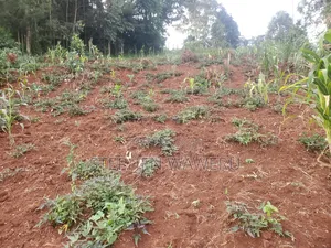 Plot for Sale in Kabete