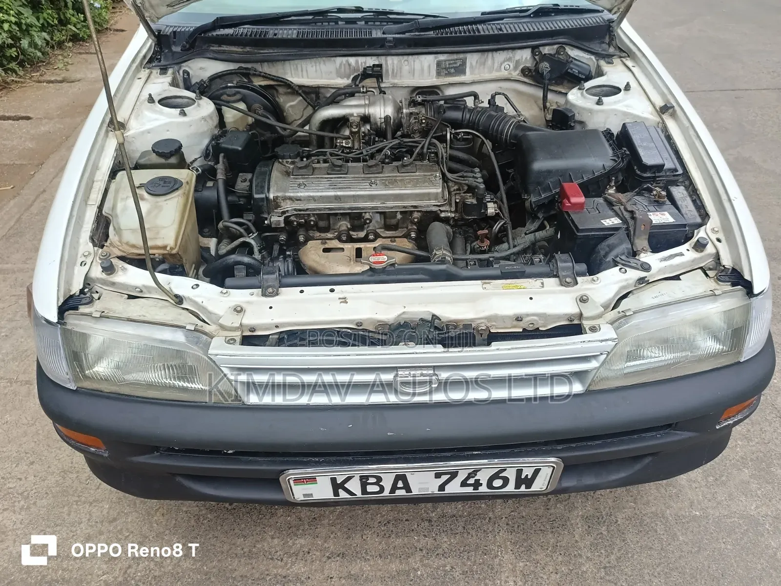 Toyota Corolla 2000 White