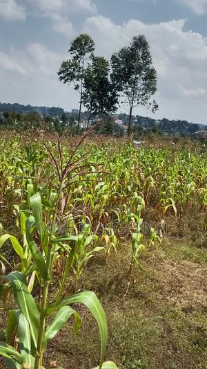 Plot for Sale