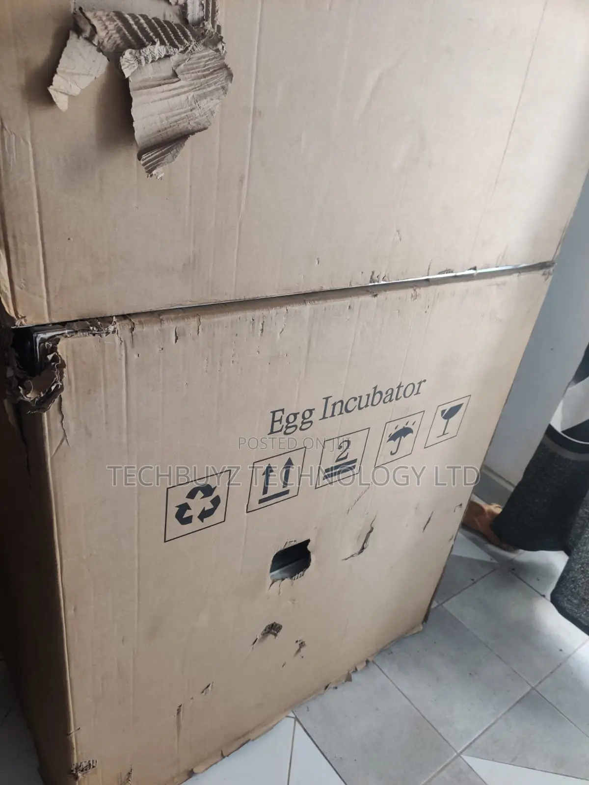 528 Imported Incubators for Sale