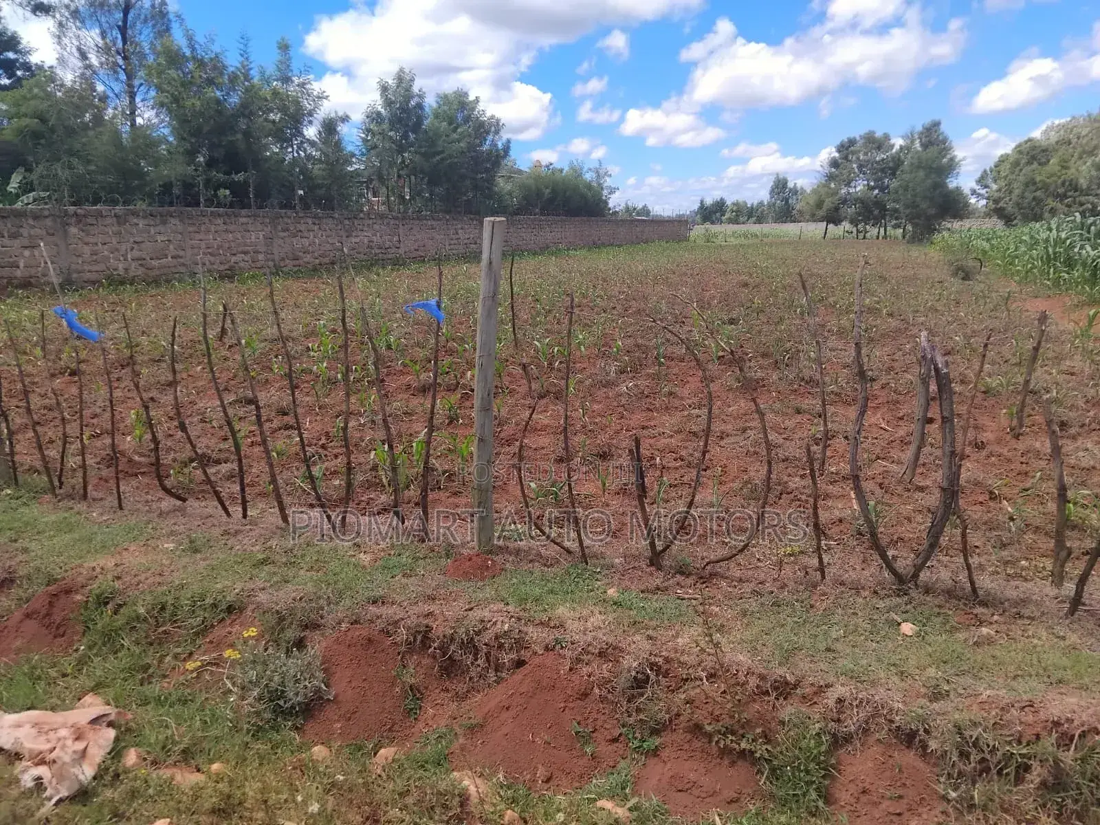 1/4 Plot Next to Mudavadi Racecourse Eldoret