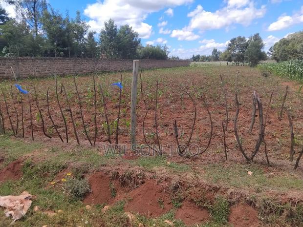 1/4 Plot Next to Mudavadi Racecourse Eldoret - thumbnail 2
