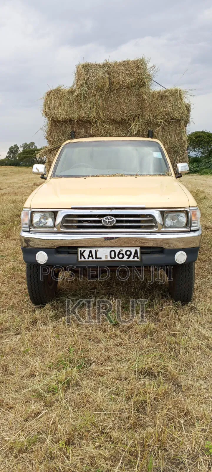 Toyota Hilux 2001 Beige