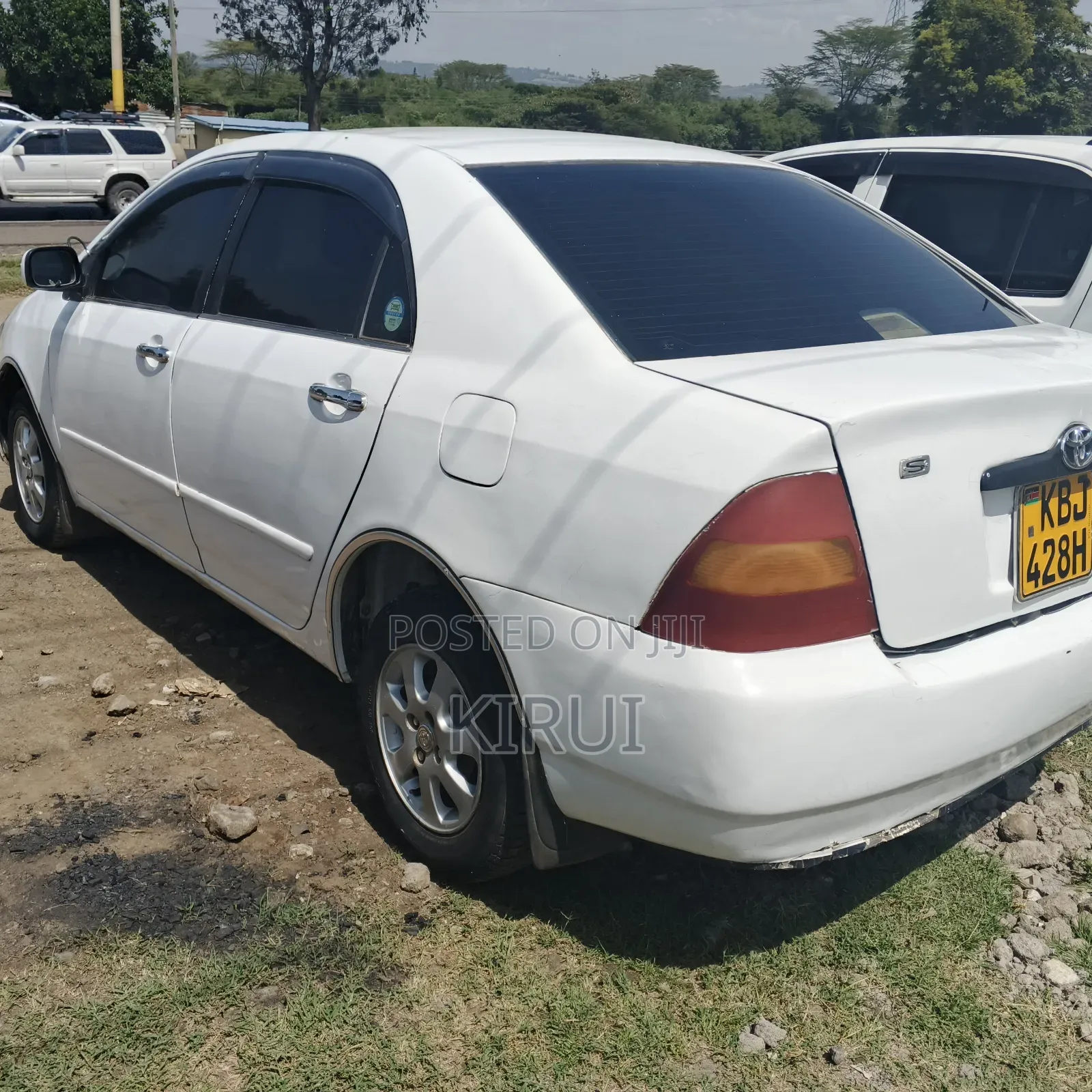 Toyota Corolla 2004 White