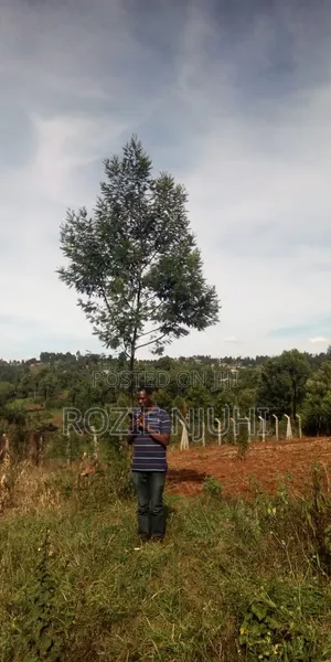 Prime Plot for Sale in Muguga