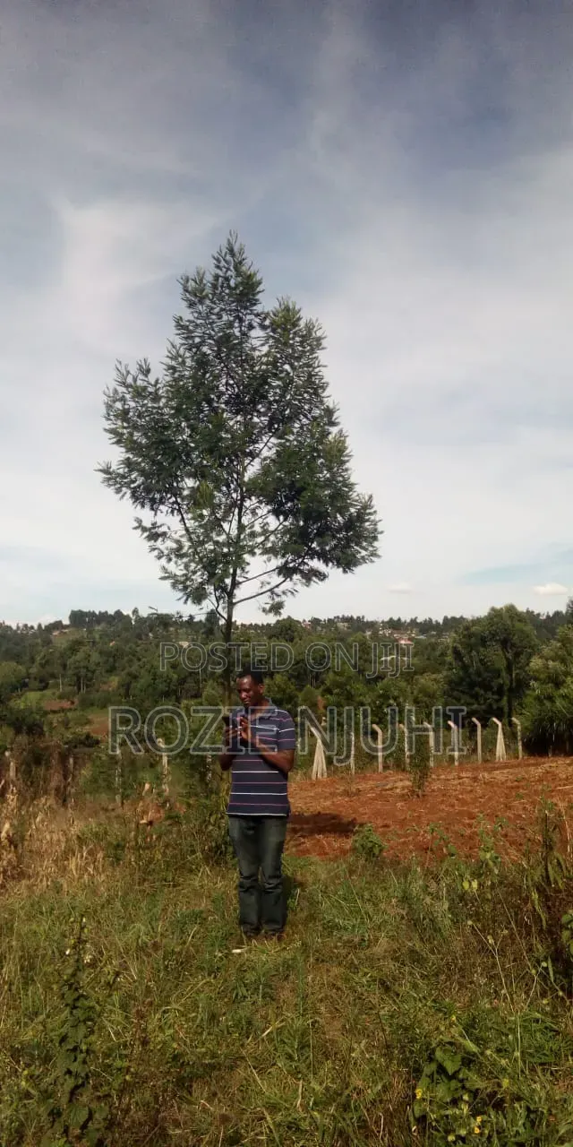 Prime Plot for Sale in Muguga