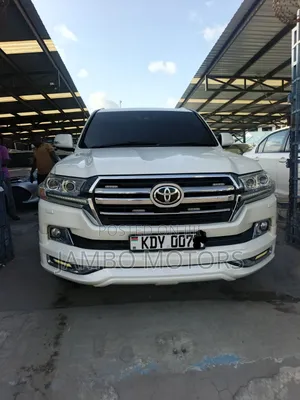 Toyota Land Cruiser 4.5 V8 TD 2019