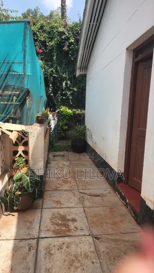 1bdrm House in Mountain View for rent