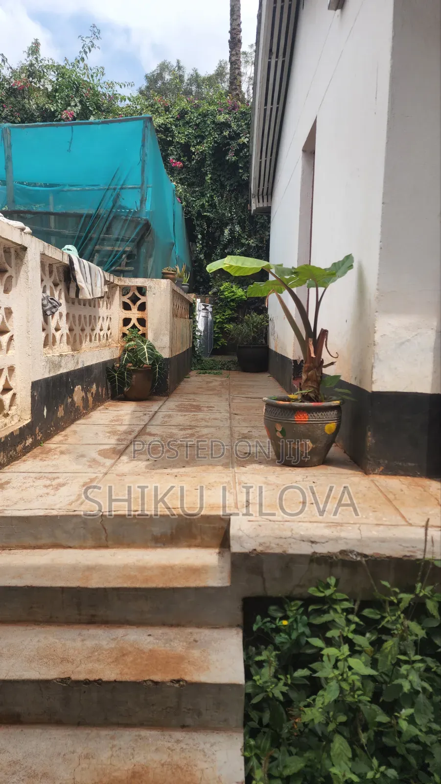 1bdrm House in Mountain View for rent