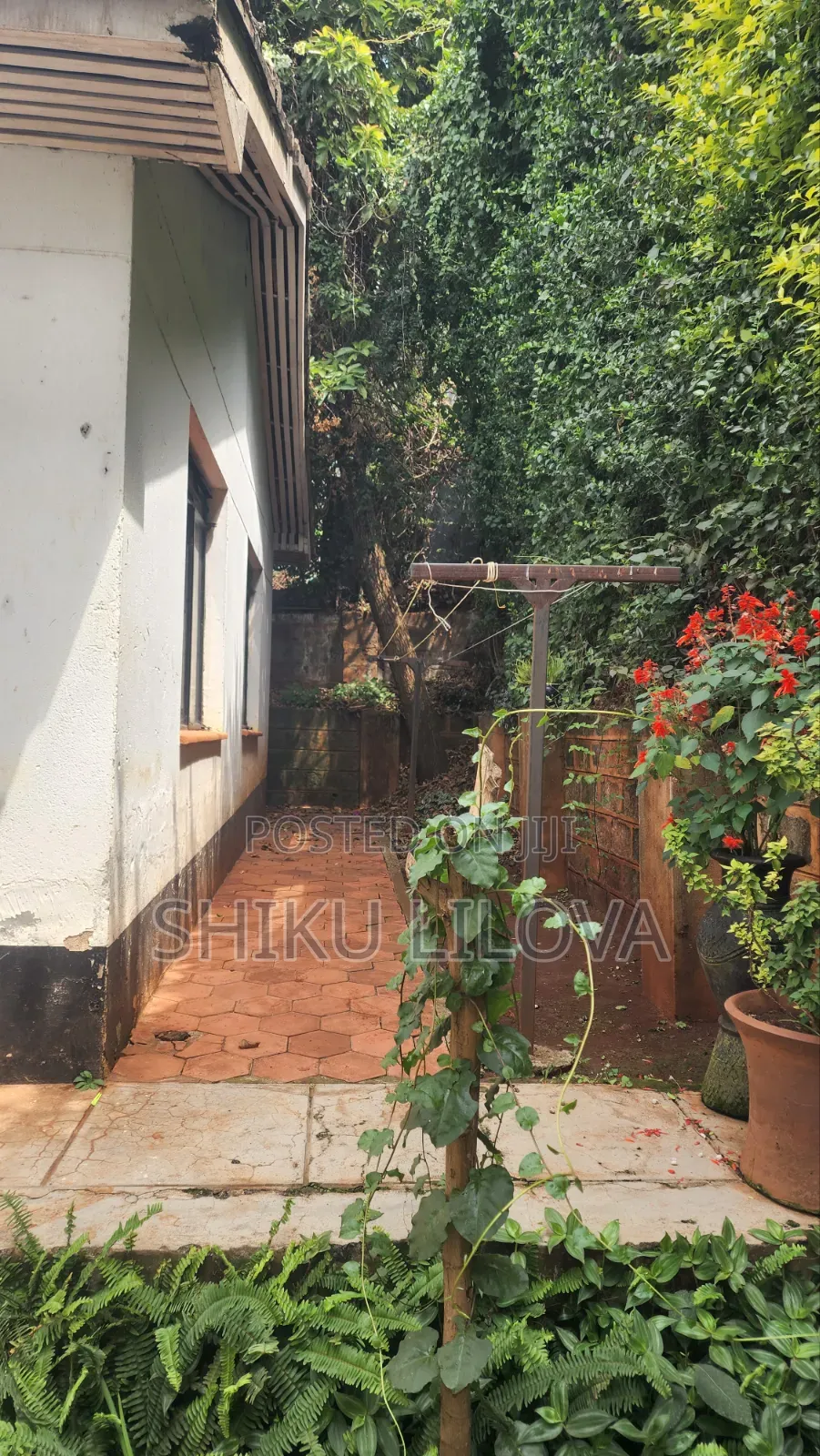 1bdrm House in Mountain View for rent