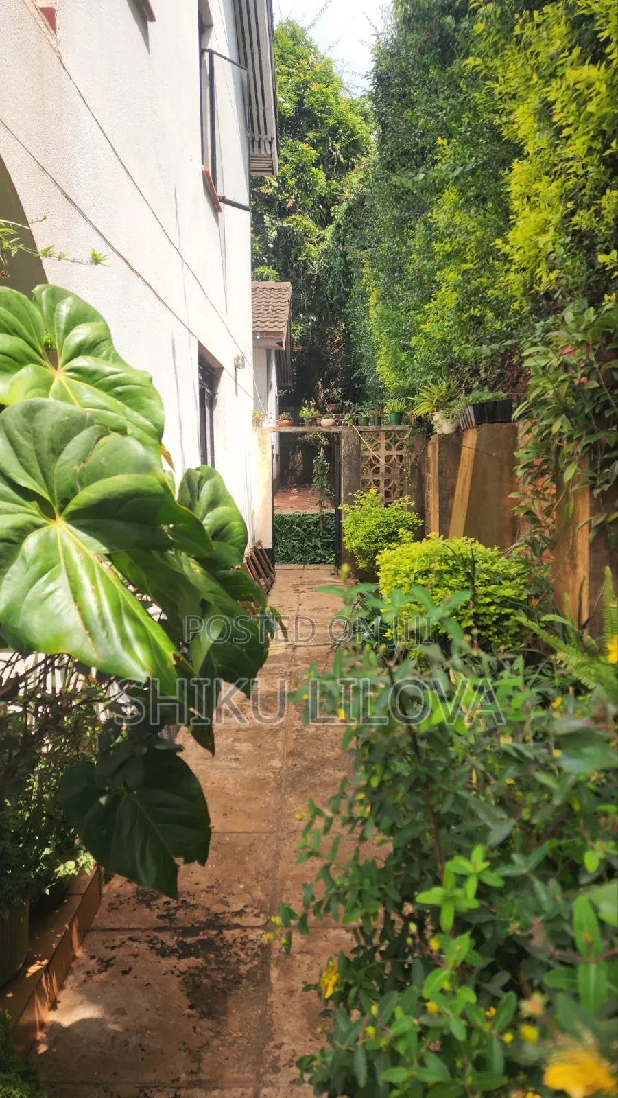 1bdrm House in Mountain View for rent