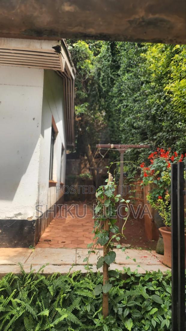 1bdrm House in Mountain View for rent - thumbnail 12