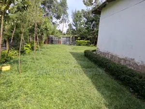 3bdrm House in Matulo for sale