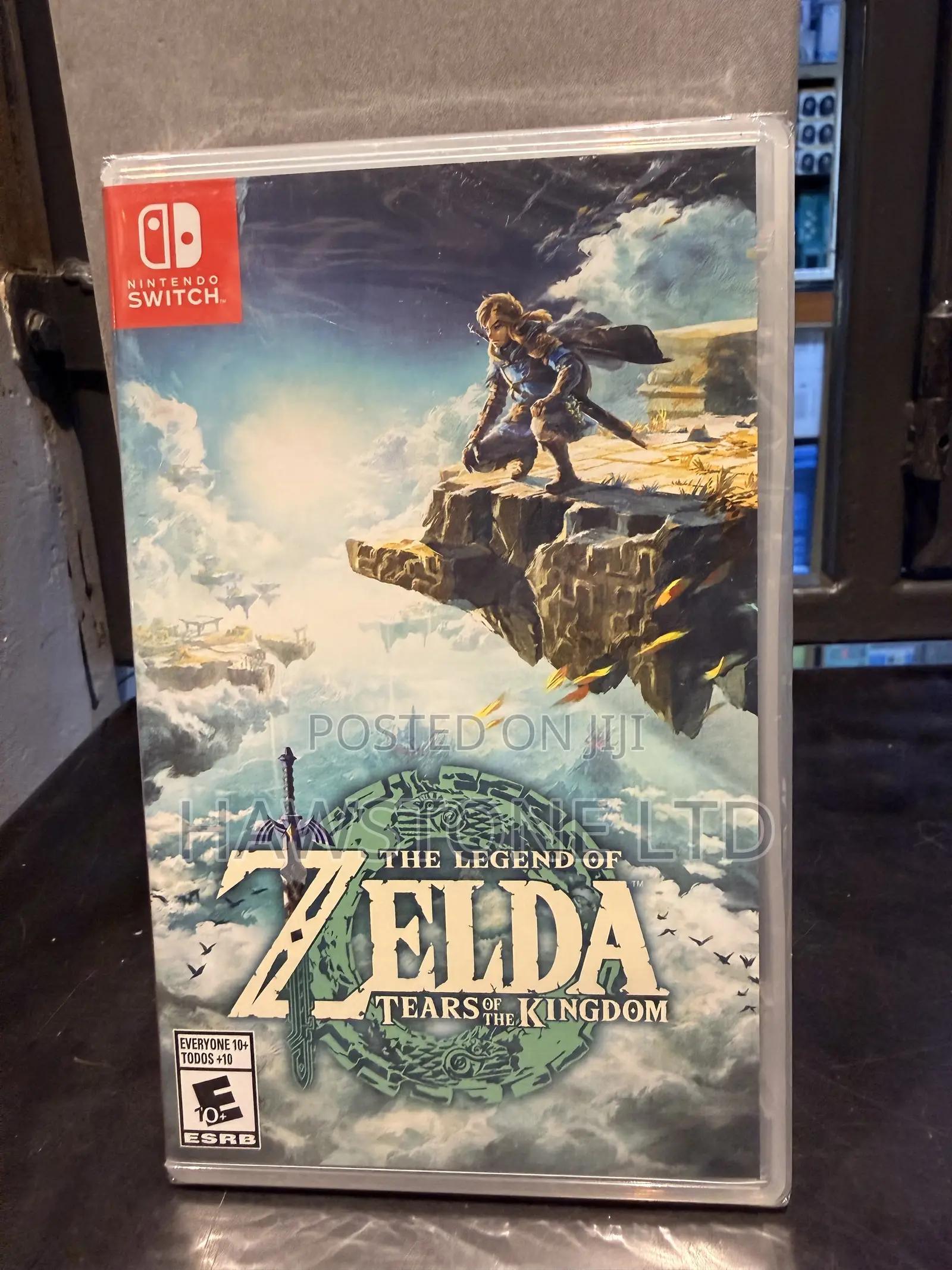 The Legend of Zelda Tears of the Kingdom