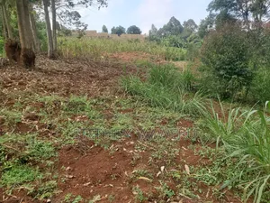 A 50 by 120 Plot for Sale in Nyathuna.