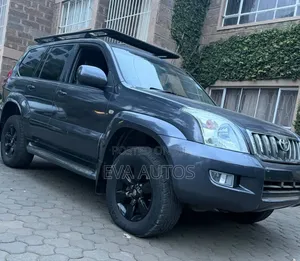 Toyota Land Cruiser 2005 Gray