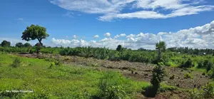 0.25 Acre Beach Plots for Sale in Vipingo | 3rd Row | KSH 3.85m